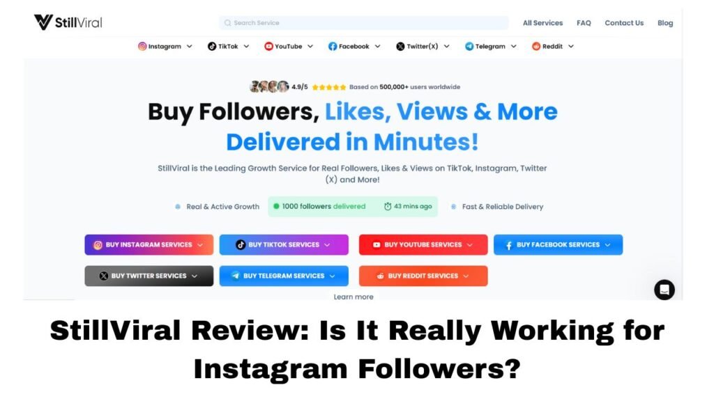 StillViral Review: Is It Really Working for Instagram Followers?